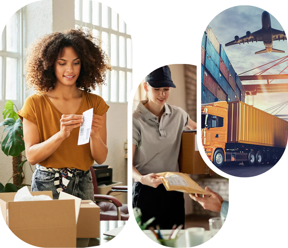 Limba deliveries